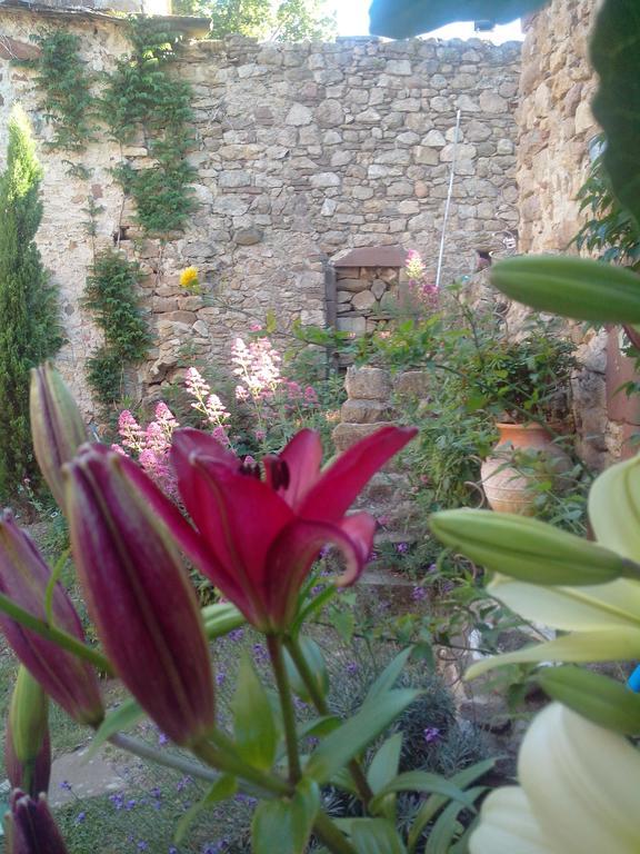 Le Clos De La Source Bed & Breakfast Le Bousquet-d'Orb Exterior photo
